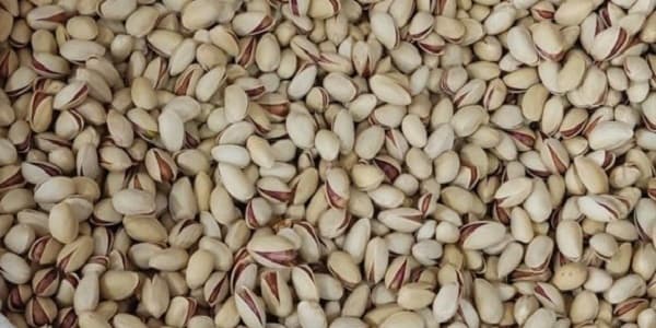تصویر 2 از قیمت پسته خندان کرمان + خرید باور نکردنی
